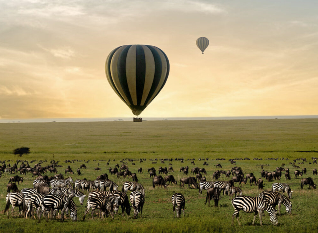 Balloon-Safari