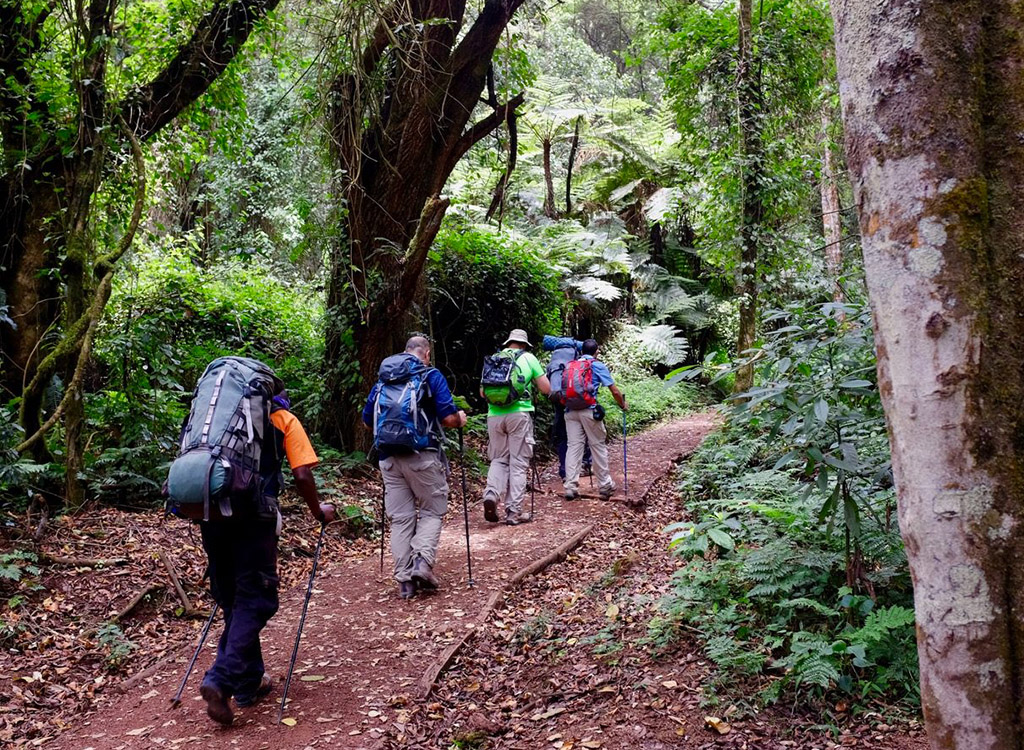 Kilimanjaro lemosho-route