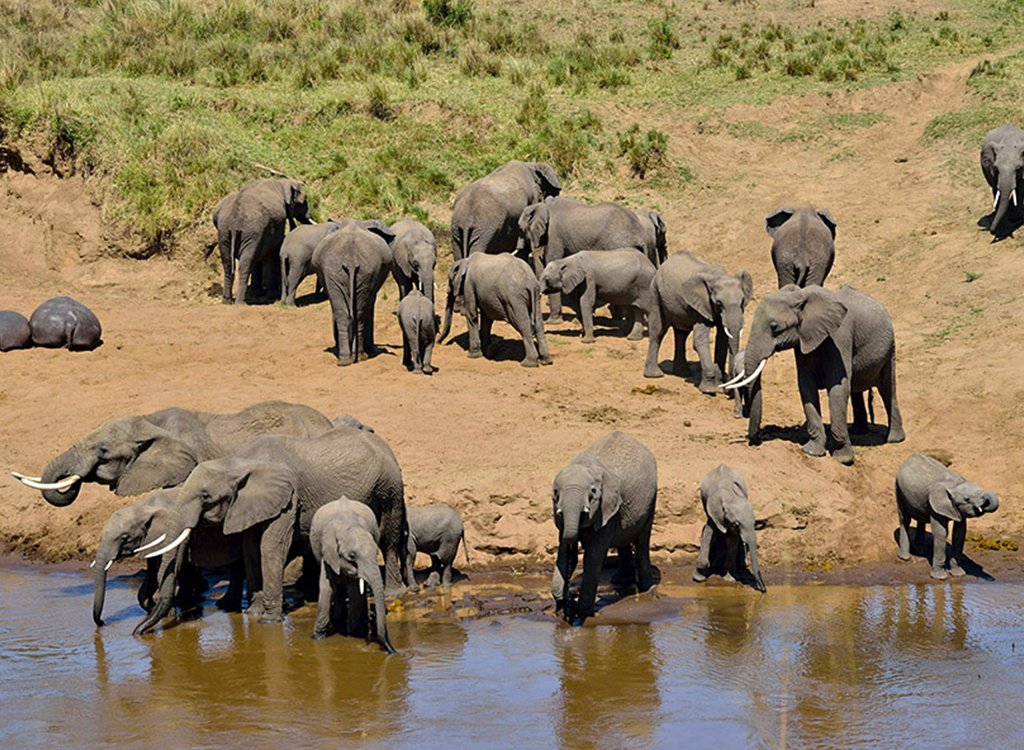 Tarangire-National-Park 12