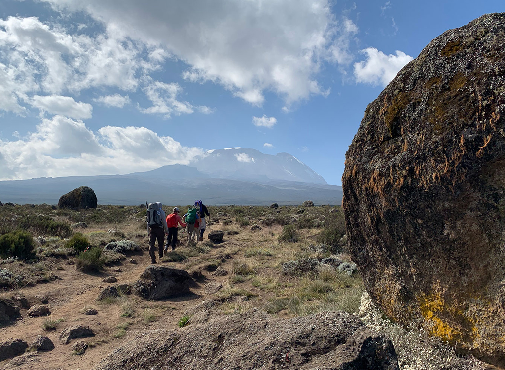 northern-circuit-kilimanjaro
