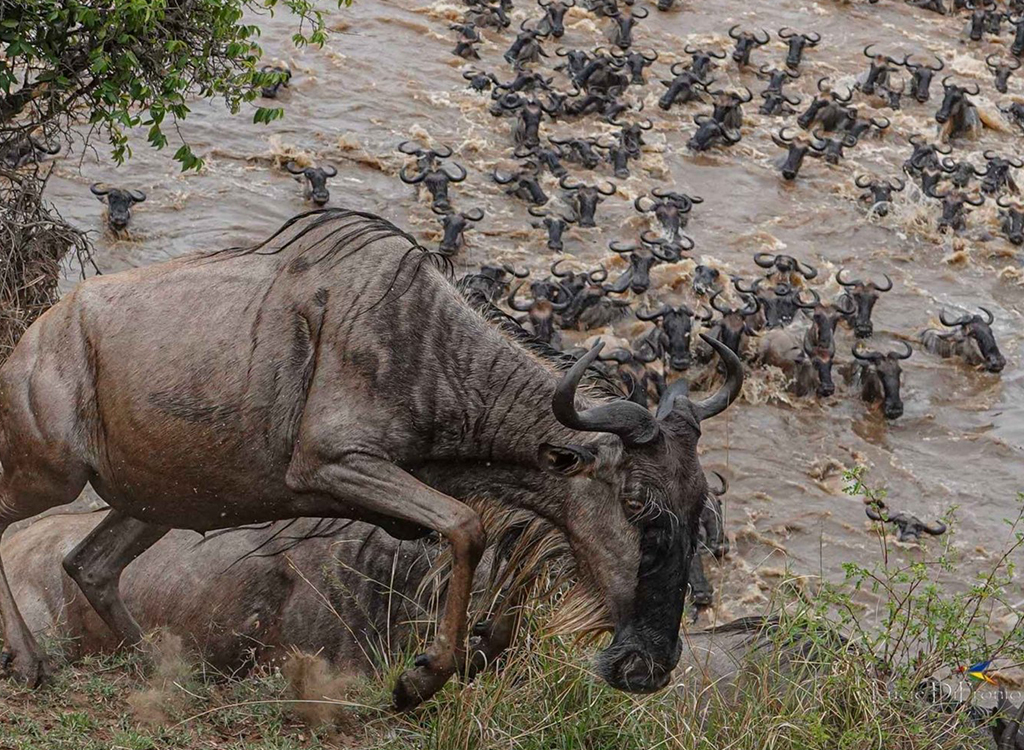 tarangire-national-park-private-day-trip-with-game-drives-5089210