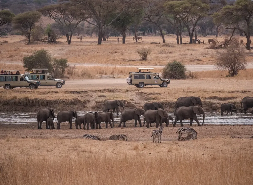 tarangire-tanzania-safari434554